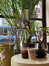 將圖片載入圖庫檢視器 預購日本🇯🇵紫藤 Wisteria (展示圖)