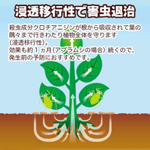 將圖片載入圖庫檢視器 住友化學園藝產品 防蟲防菌劑 M3 250g (下單請直接聯絡我們)