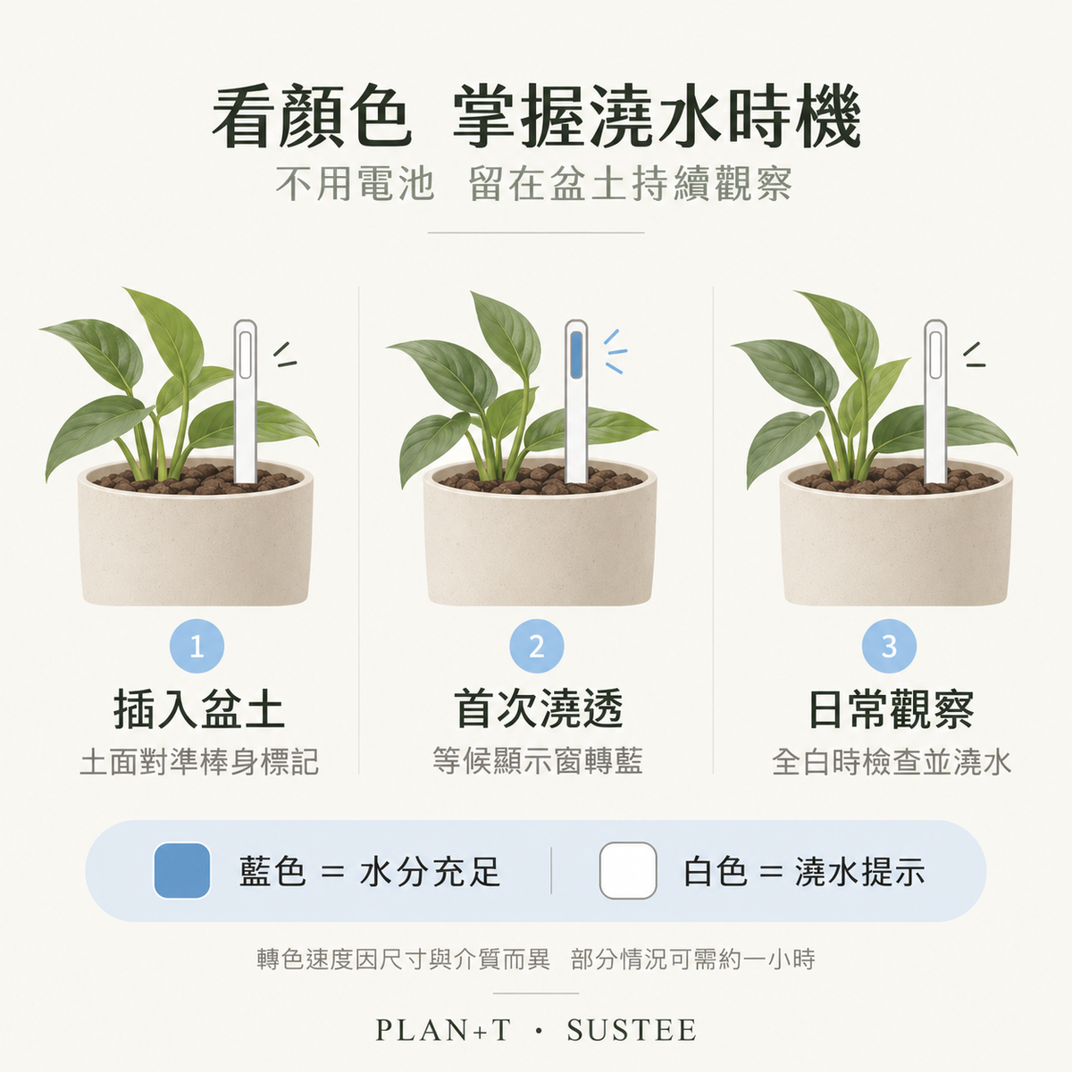 SUSTEE 使用示意 插入盆土 首次澆透 日常觀察藍白變色