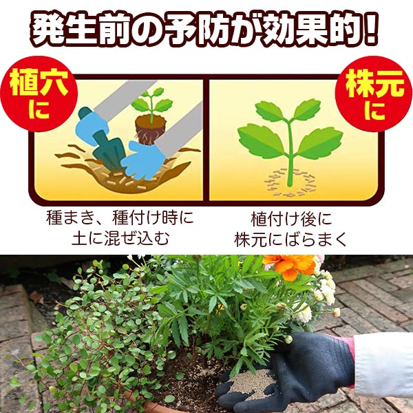 住友化學 M3 防蟲防菌劑 產品照2 - PLAN+T