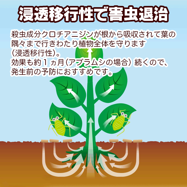 住友化學 M3 防蟲防菌劑 產品照4 - PLAN+T