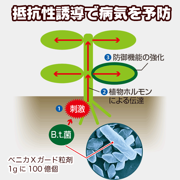 住友化學 M3 防蟲防菌劑 產品照3 - PLAN+T