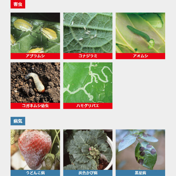 住友化學 M3 防蟲防菌劑 產品照5 - PLAN+T